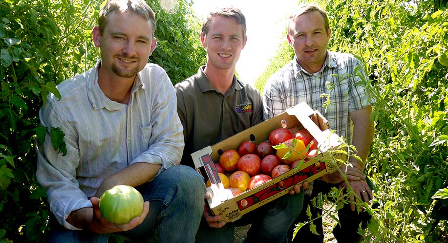 Capay Organic Farmers with Tomatoes