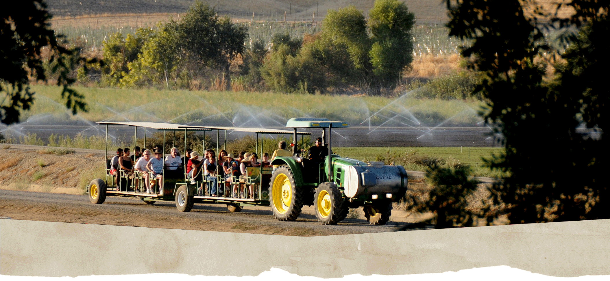 vintage tractor capay organic farm