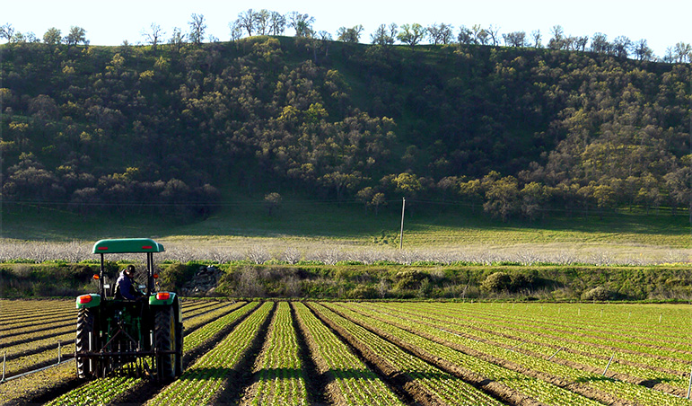 working tractor capay organic